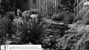 Speels tuin met ruime vijver en groen